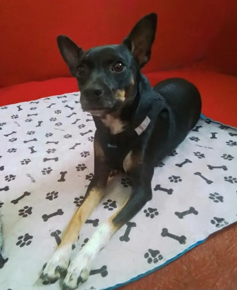 Missy thumbnail 3