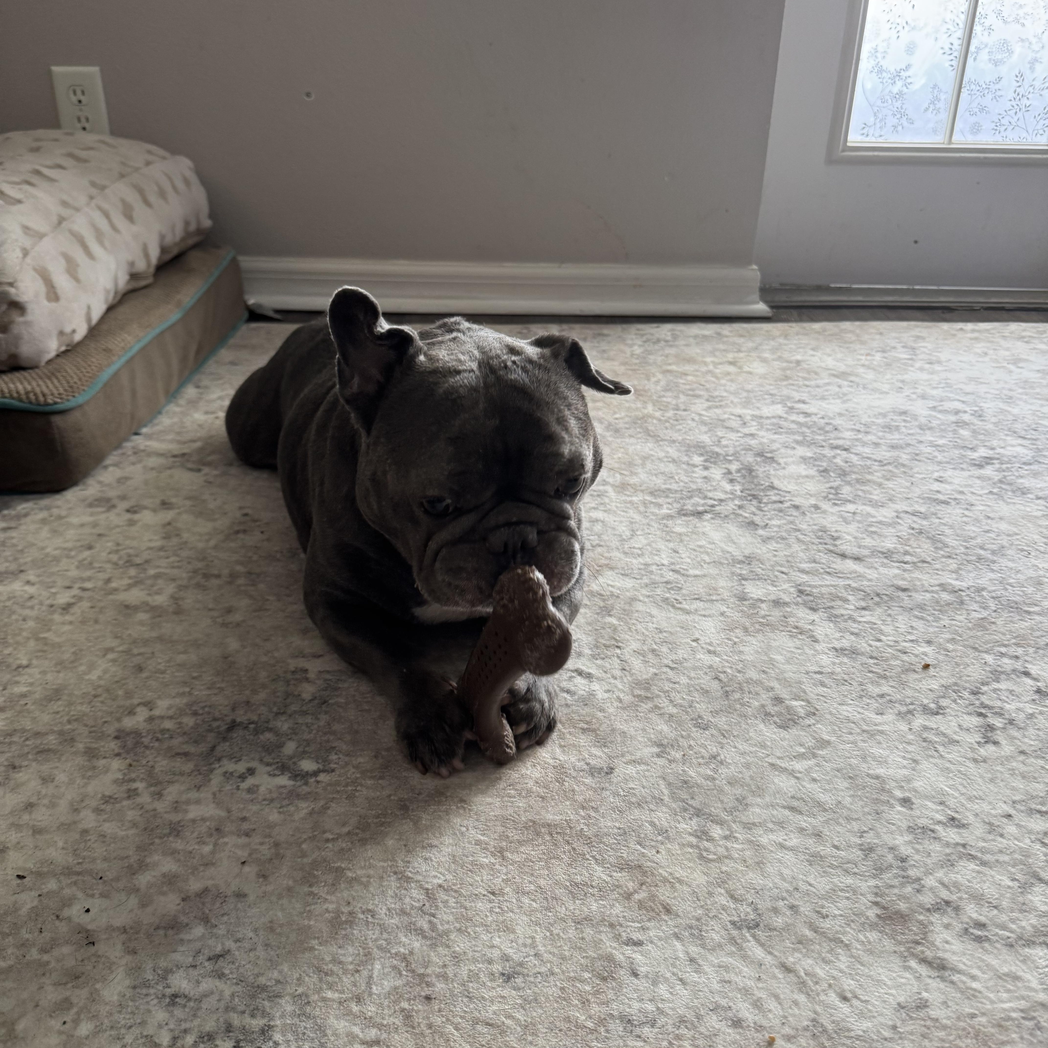 Bruno