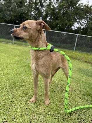 Maribell thumbnail 2