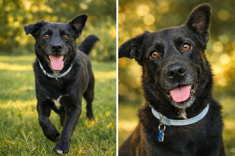 Captain Jack thumbnail 2