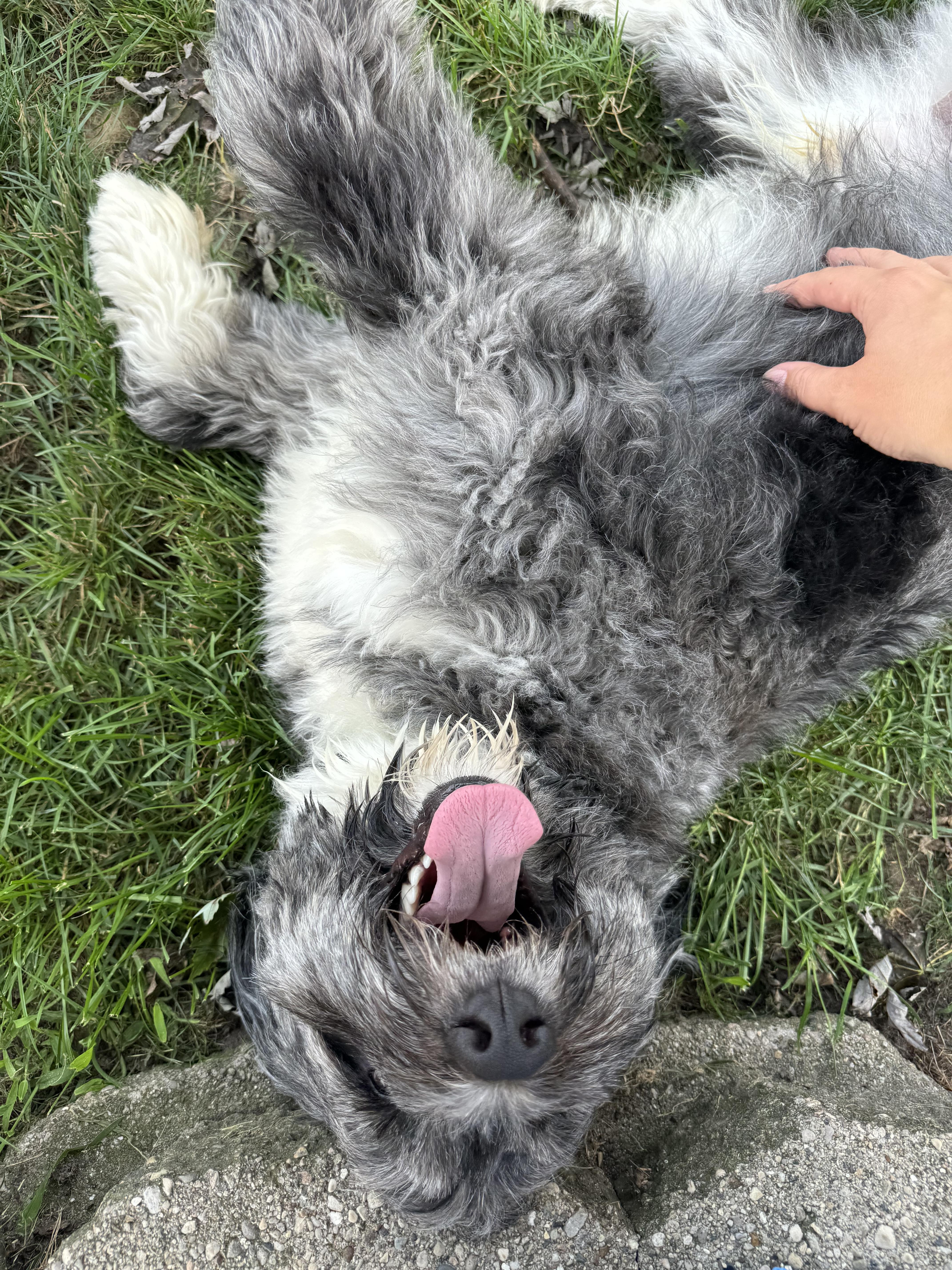 Yuki thumbnail 5