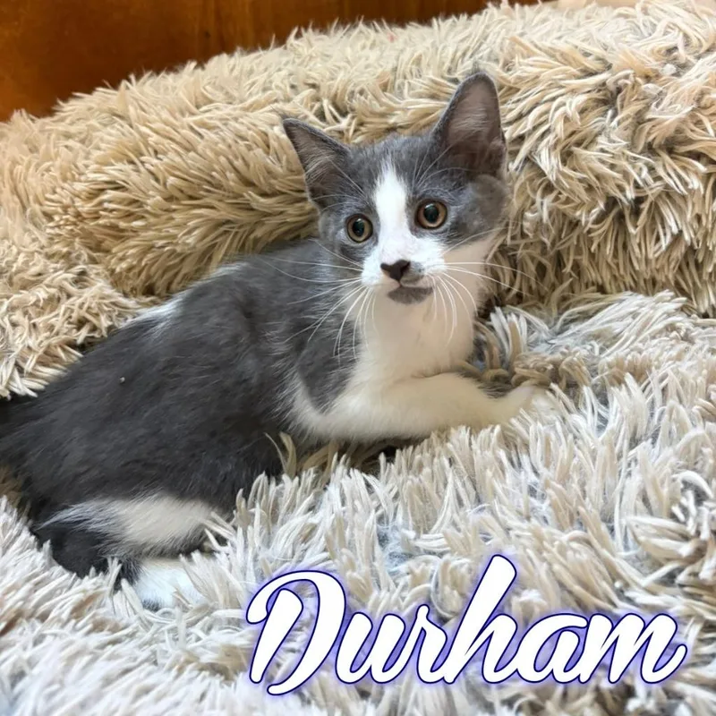 Durham