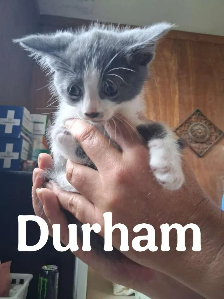 Durham thumbnail 2