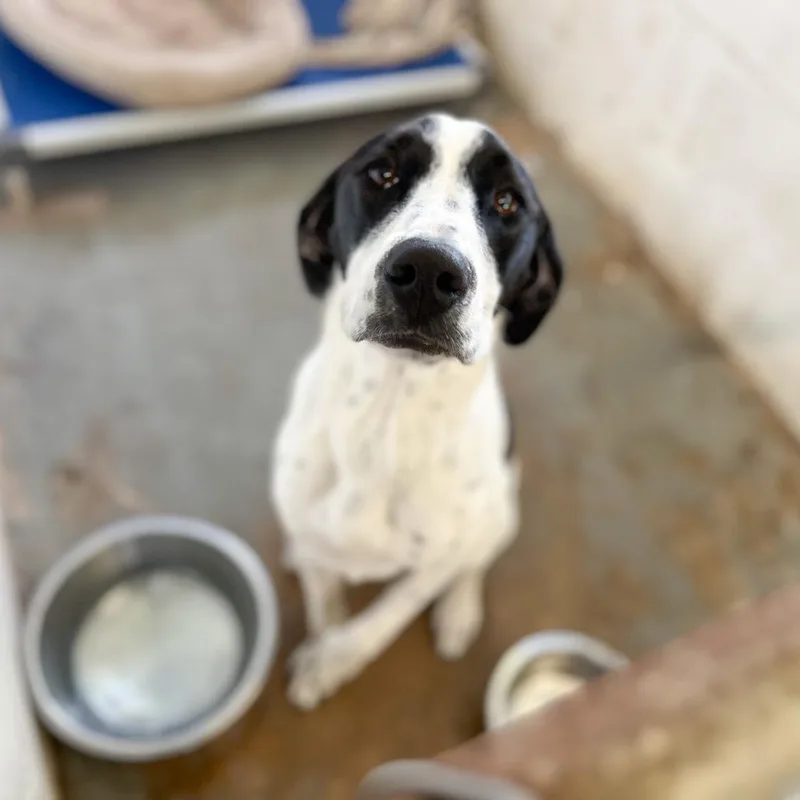 Stella Peaches thumbnail 2