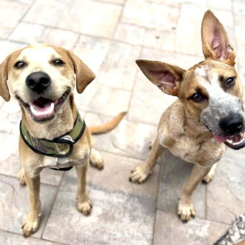 Happy Boy Nathan thumbnail 2