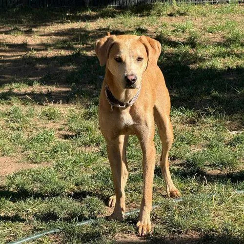 Happy Boy Nathan thumbnail 3