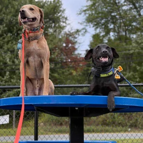 Happy Boy Nathan thumbnail 5