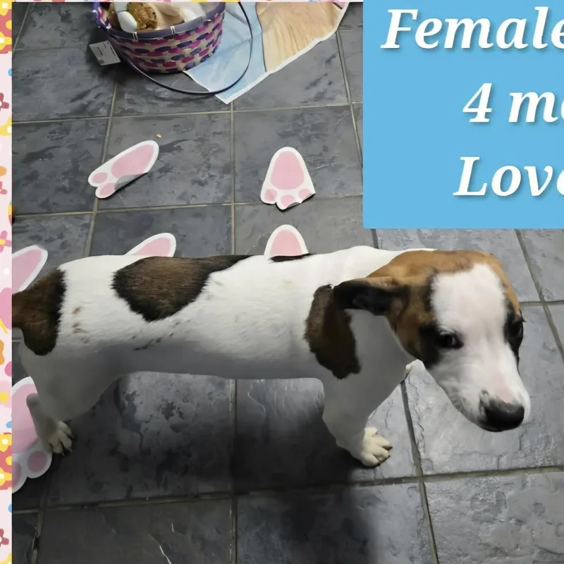 Marion Bullgles : Faith thumbnail 2