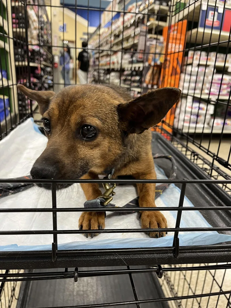 Mia Feral thumbnail 2