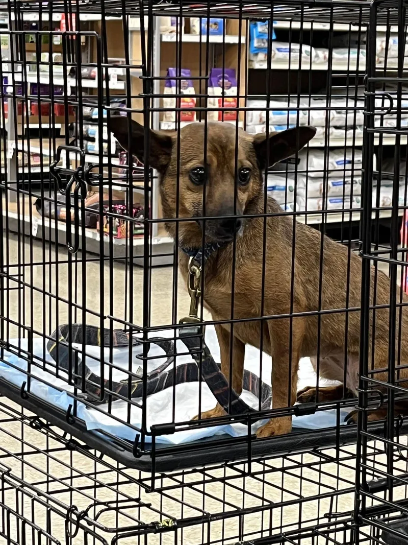 Mia Feral thumbnail 3