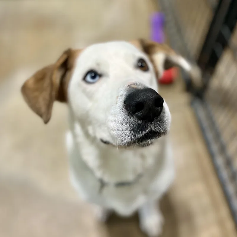 Pooh Bear & Piglet thumbnail 3