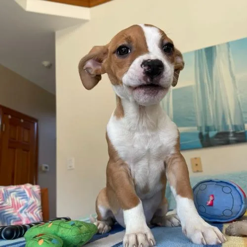 Fruity Fresh thumbnail 4