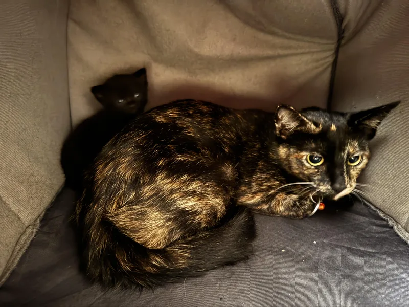 Mama And Baby Girl
