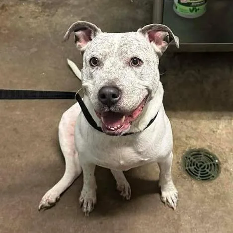 Thea Coming Soon To thumbnail 2