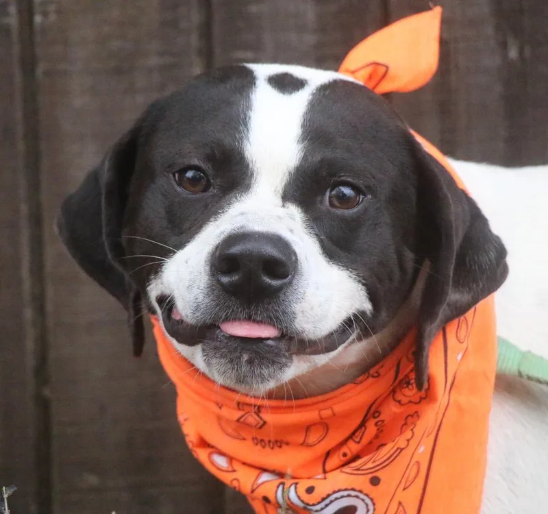 Emmie thumbnail 4