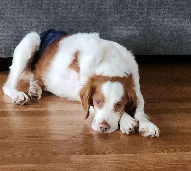 Kychance thumbnail 3