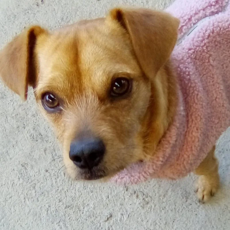 Brunoscrappy A thumbnail 2