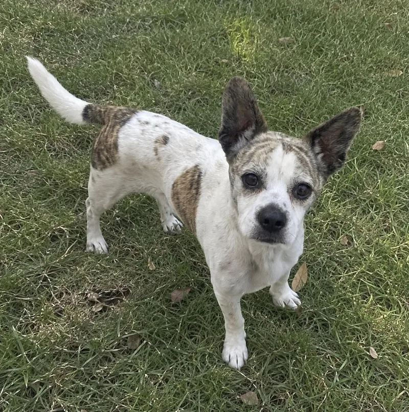 Mateo