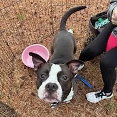 Hamilton thumbnail 3