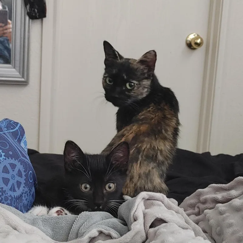 Esperanza Ar thumbnail 4