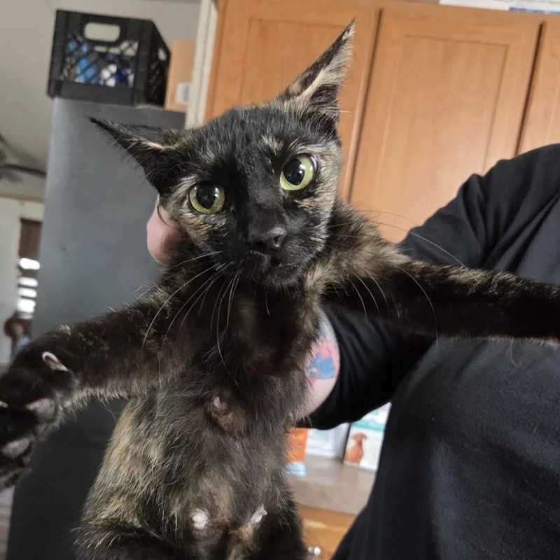 Esperanza Ar thumbnail 5