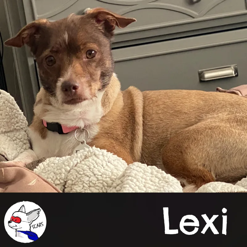 Lexi thumbnail 2