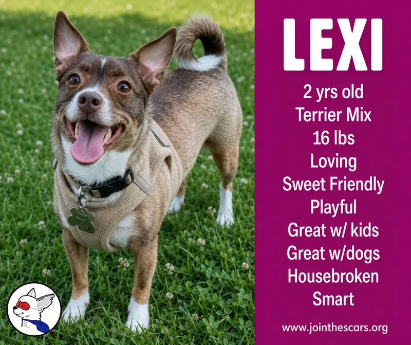 Lexi thumbnail 5