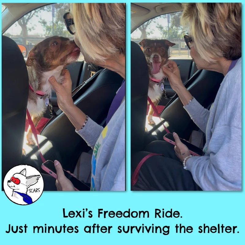Lexi thumbnail 6