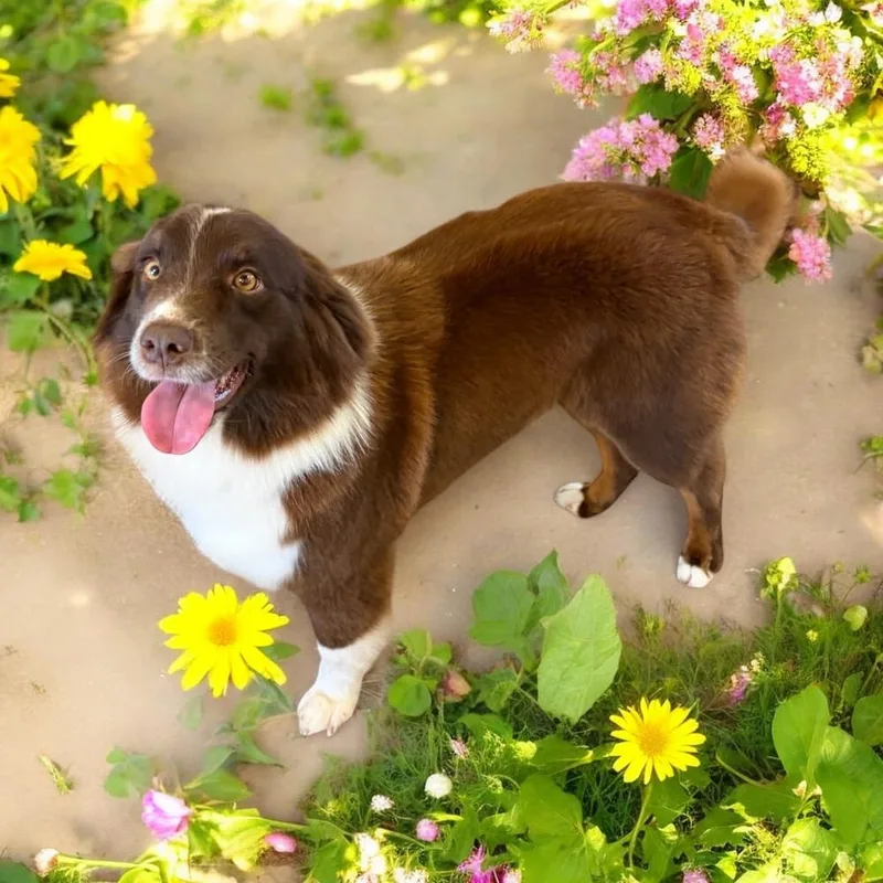 Lucy Lou thumbnail 5