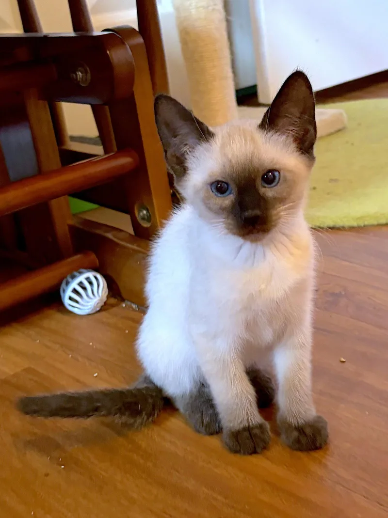 Nina  Bonded with thumbnail 3