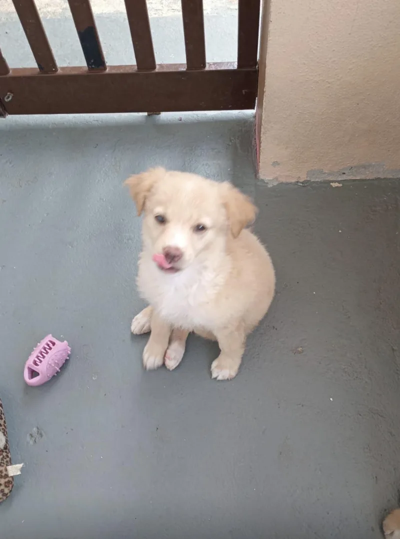 Roxy