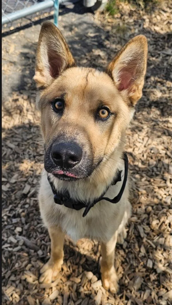 Tucker