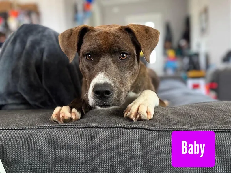 Baby thumbnail 5