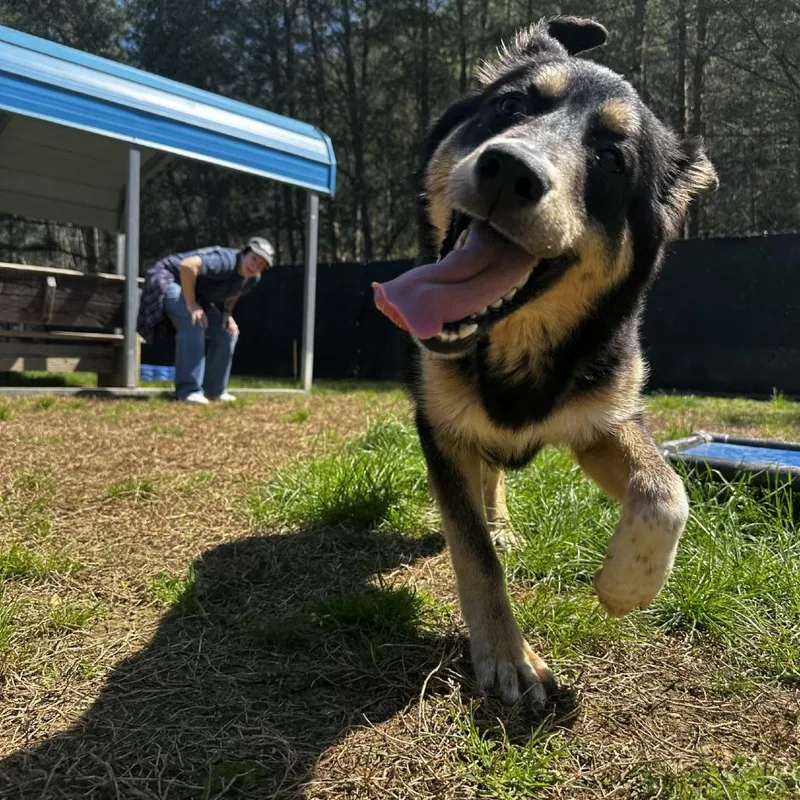 Cappuccino thumbnail 4