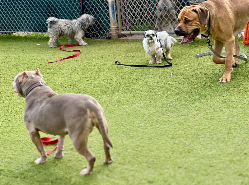 Brewster thumbnail 4