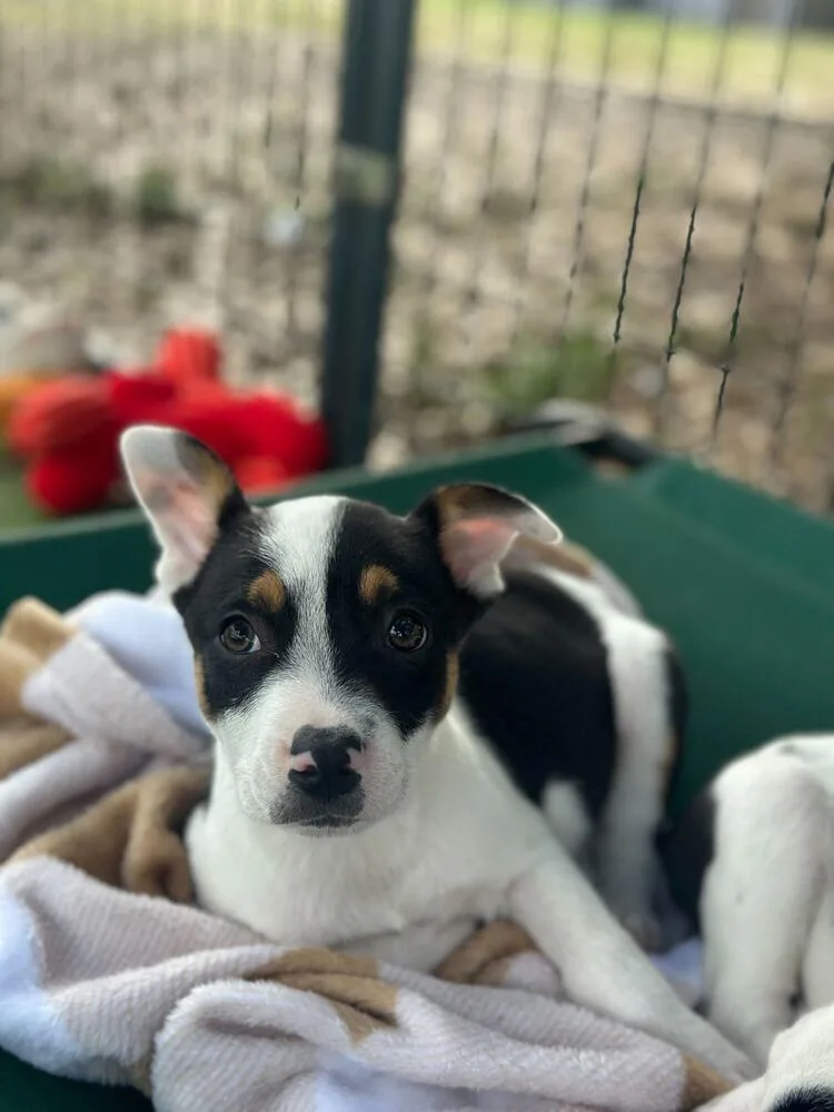 Haverford thumbnail 2