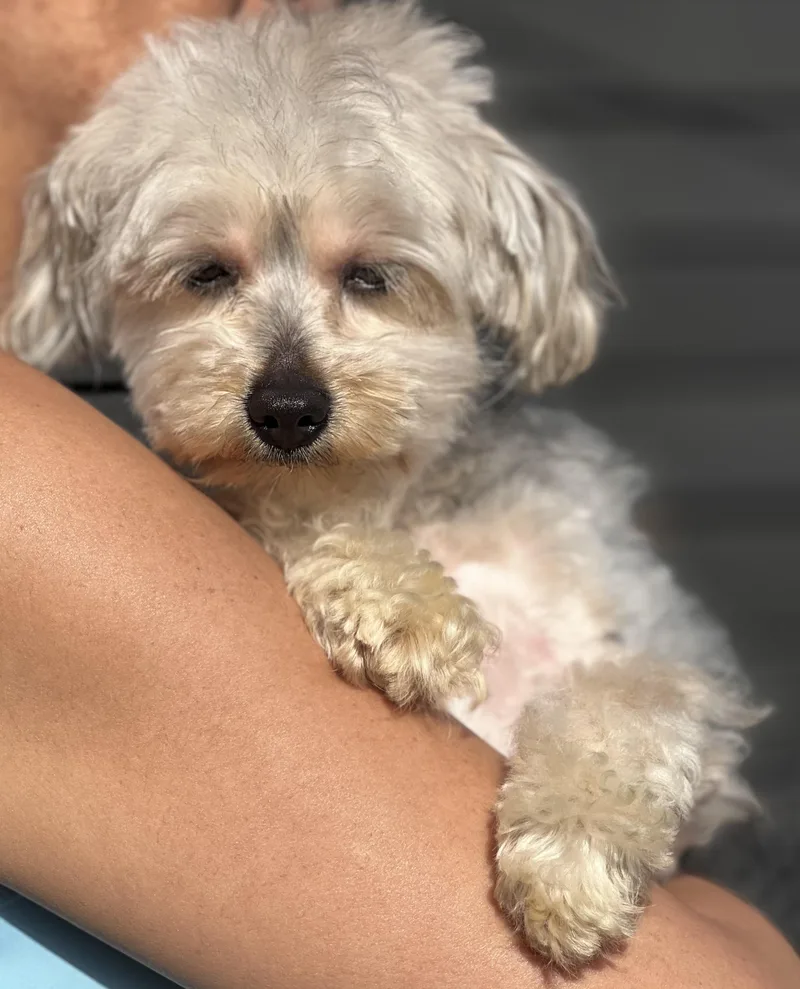 Sissy~tiny Precious Girl thumbnail 3