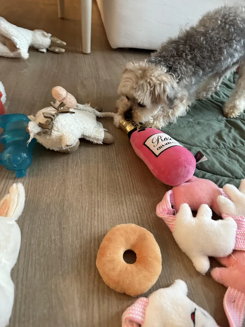 Sissy~tiny Precious Girl thumbnail 4