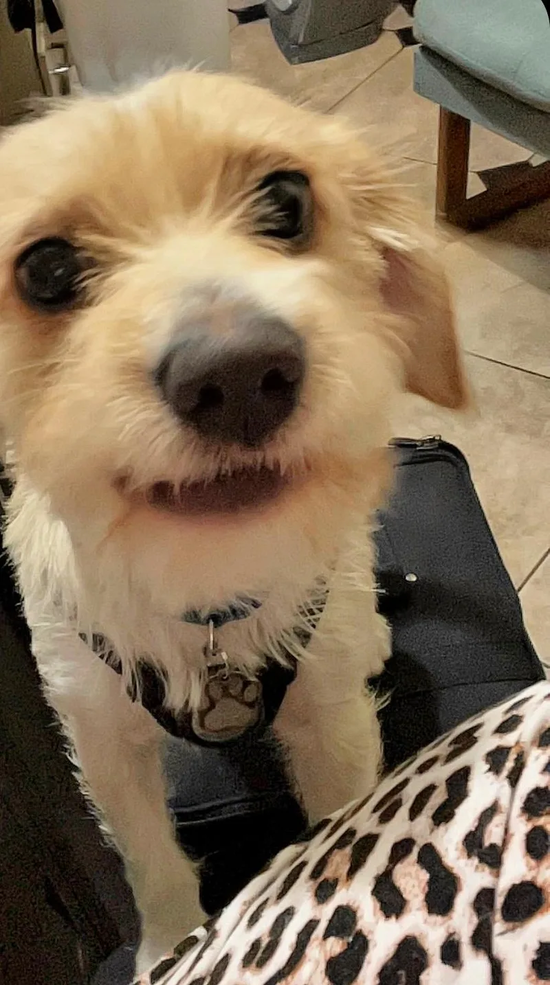 Rufus Is Very Mellow thumbnail 5