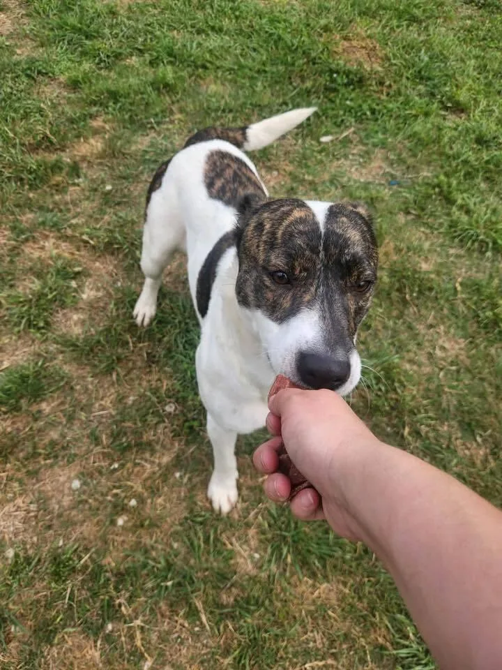 Brenda 💜a thumbnail 3