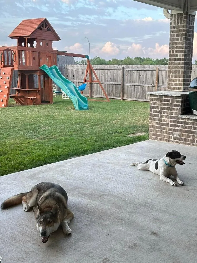 Brenda 💜a thumbnail 4