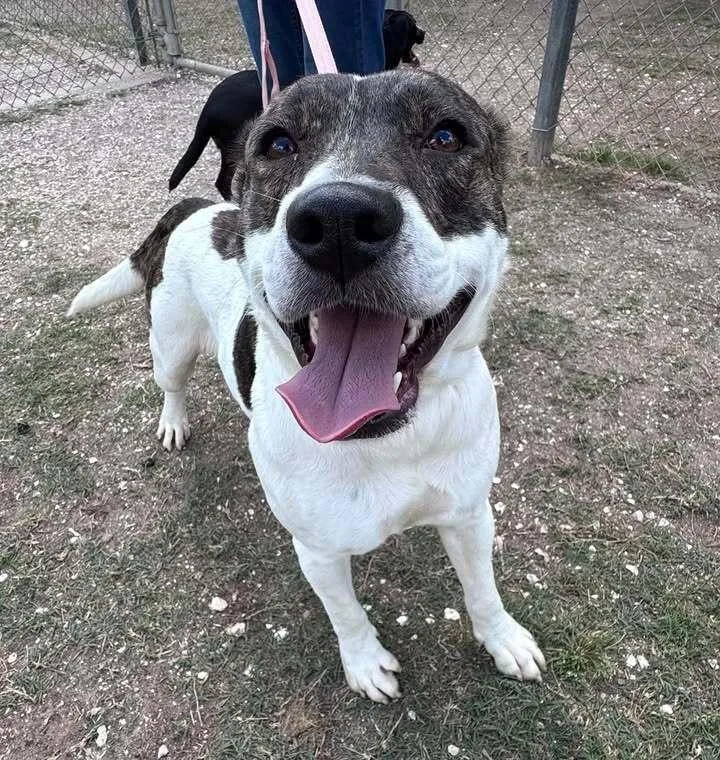 Brenda 💜a thumbnail 6