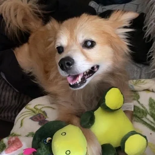 Max