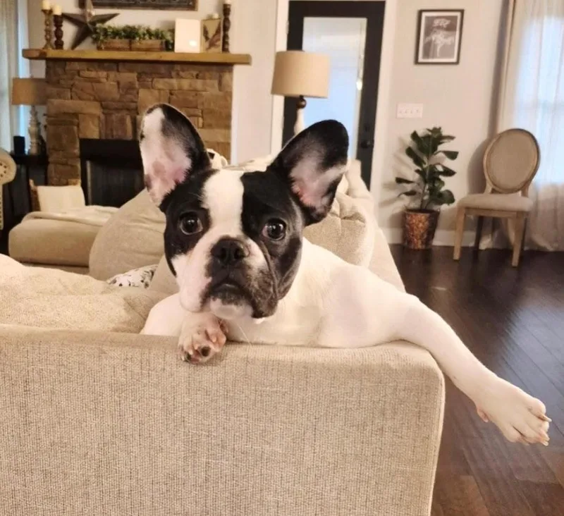 Maggie Mae thumbnail 2