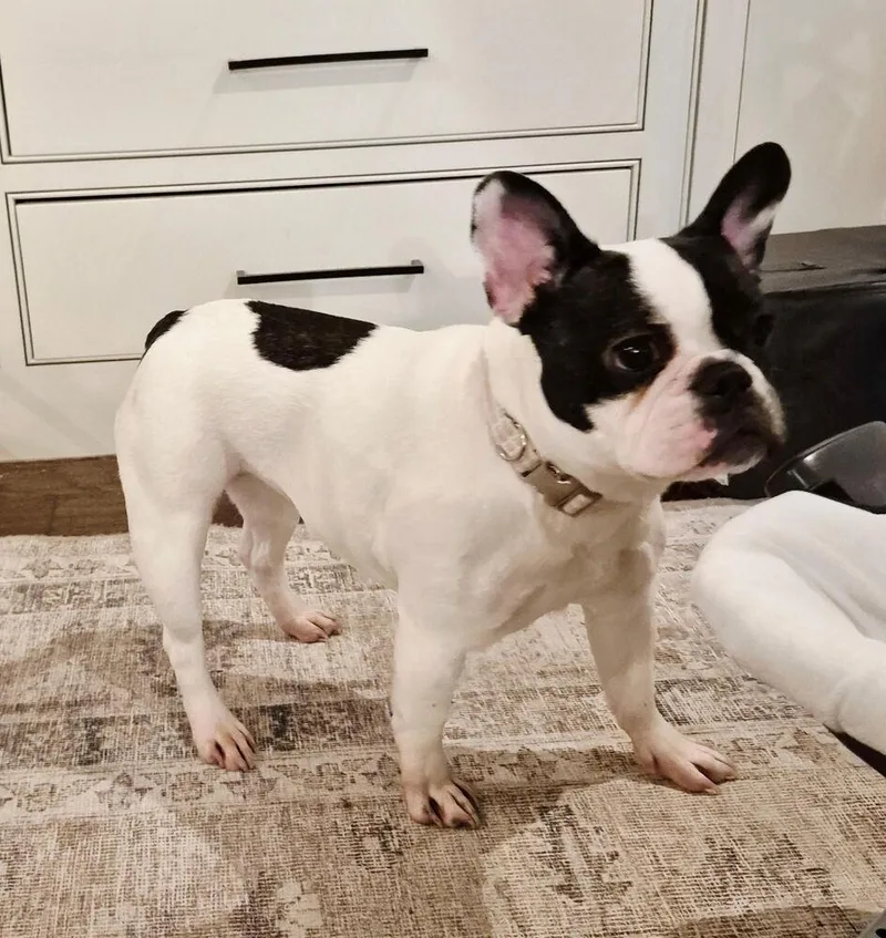 Maggie Mae thumbnail 3