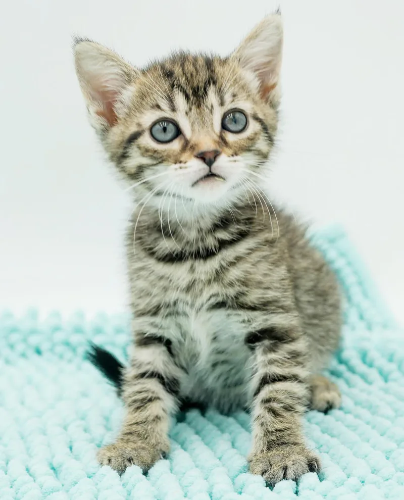 Luna Is A Teeny thumbnail 3