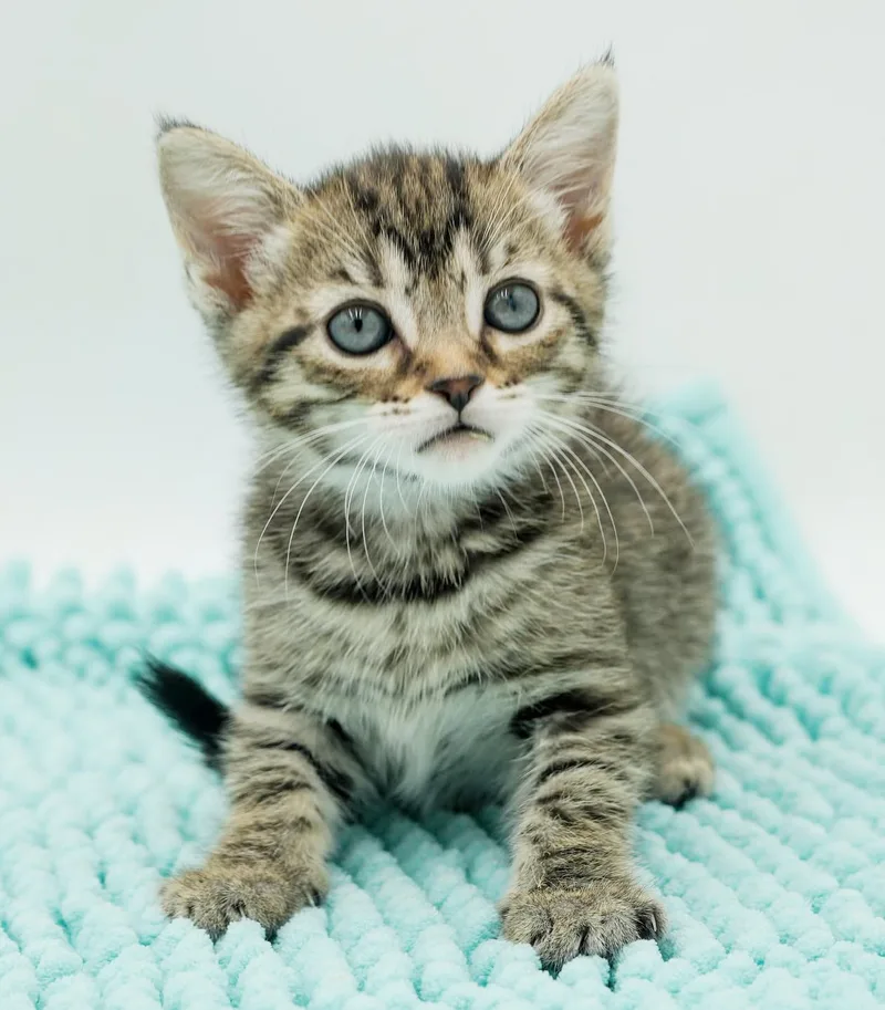 Luna Is A Teeny thumbnail 5