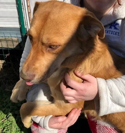 Theodore Aka Theo!!!