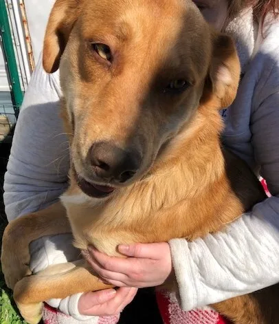 Theodore Aka Theo!!! thumbnail 2