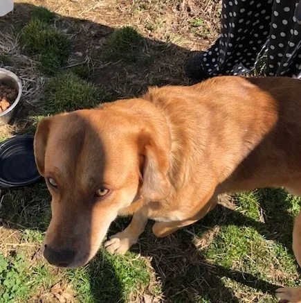 Theodore Aka Theo!!! thumbnail 4